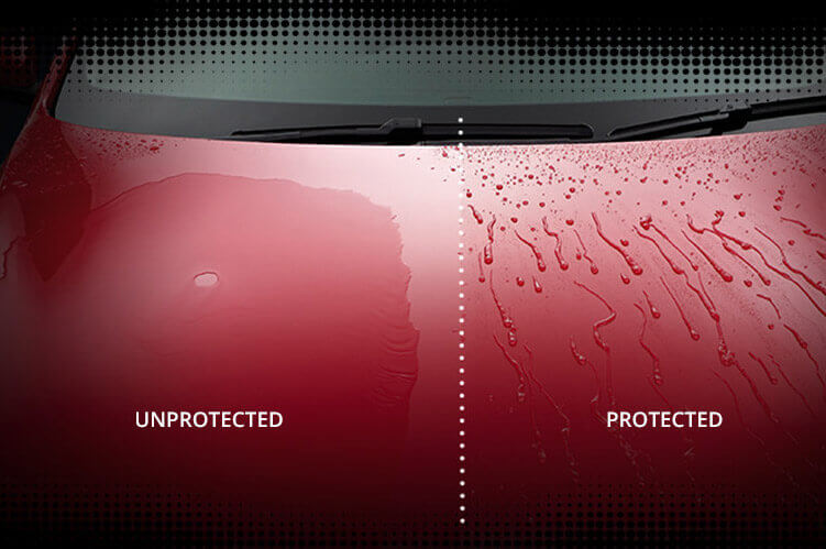 AutoGlym LifeShine Paintwork Protection